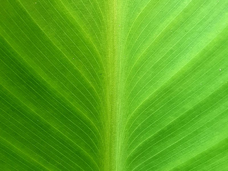 Performance benchmarking